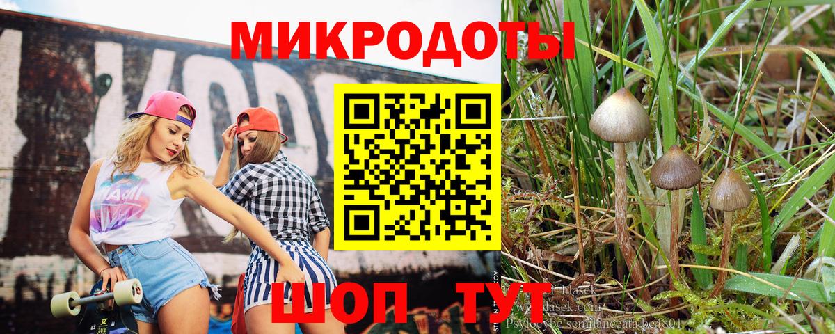 Волоколамск  Галлюциногенные грибы Cubensis  Вход с VPN  Псилоцибиновые грибы ЛСД 