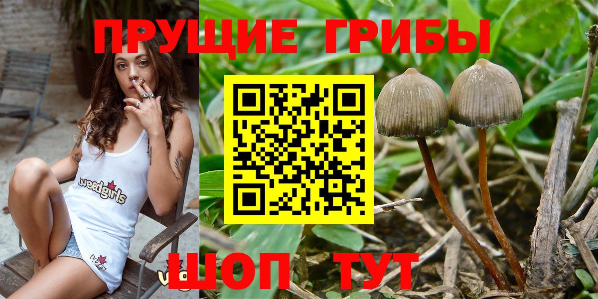 Псилоцибиновые грибы Magic Shrooms Волоколамск