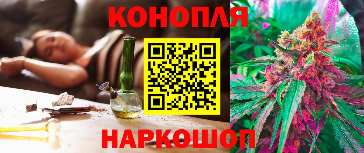 Бошки Шишки SATIVA & INDICA  Канабис план  Волоколамск  Вход с VPN  Канабис THC 21% 